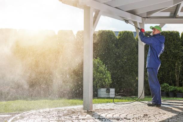 Best Driveway Cleaning and Restoration in Fort Ashby, WV